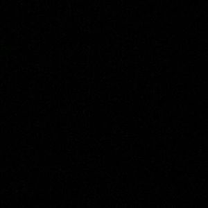 Meet your Posher, Ella